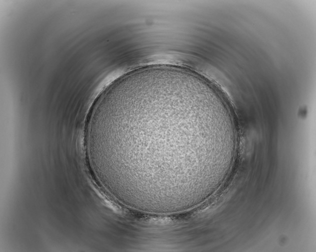X0000099520882200805221441
