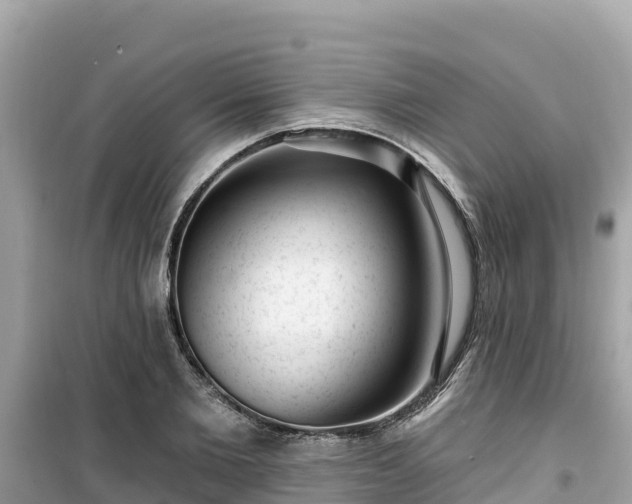 X0000099520885200805221441