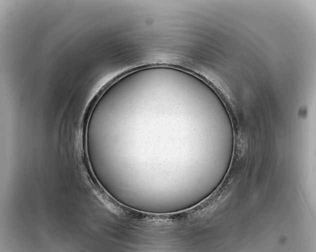 X0000099520886200805221441