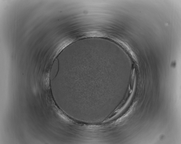 X0000099520889200805221441