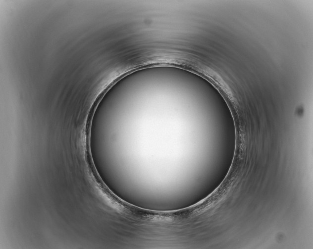 X0000099520890200805221441