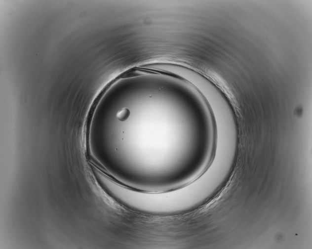 X0000099520892200805221441
