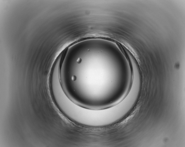 X0000099520893200805221441