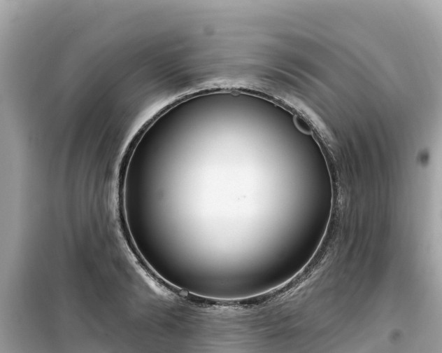 X0000099520894200805221441