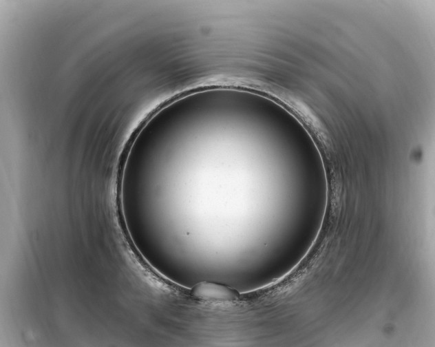 X0000099520896200805221441