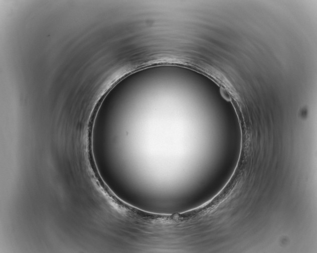 X0000099520898200805221441