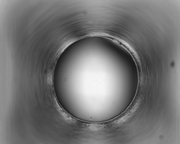 X0000099520905200805221441
