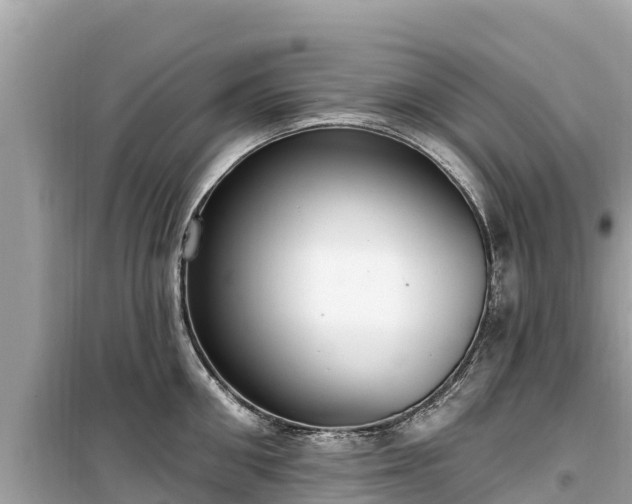 X0000099520906200805221441