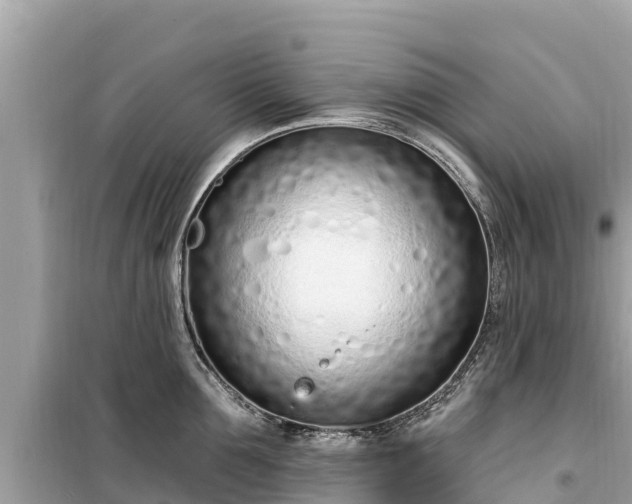 X0000099520907200805221441