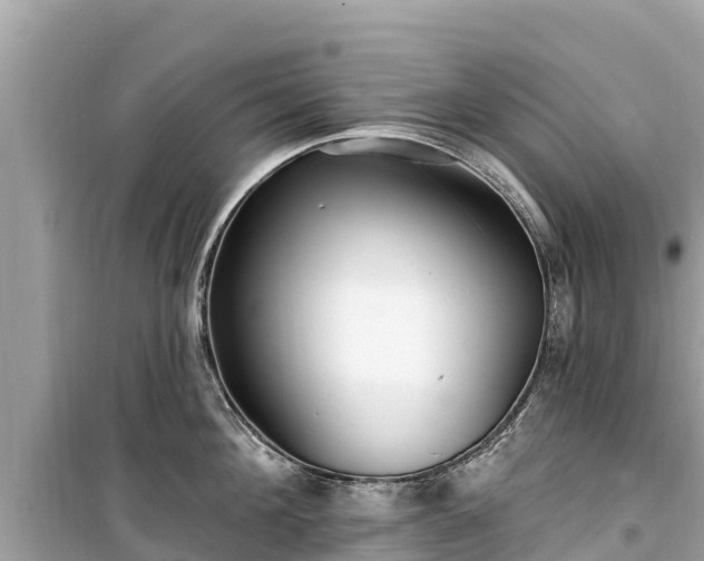 X0000099520908200805221441