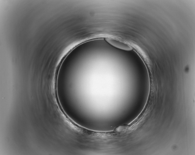 X0000099520910200805221441