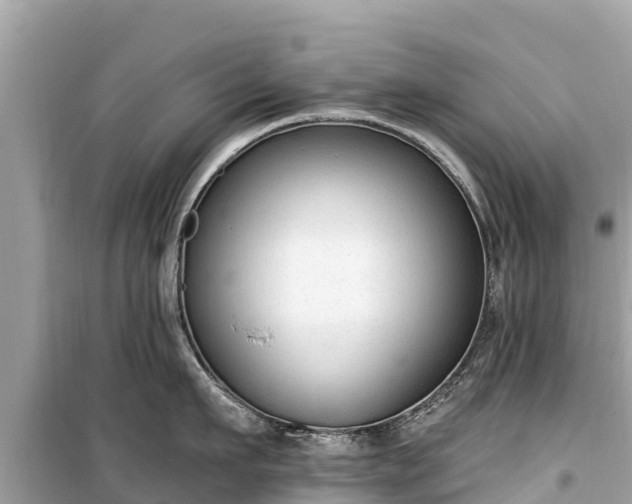 X0000099520911200805221441