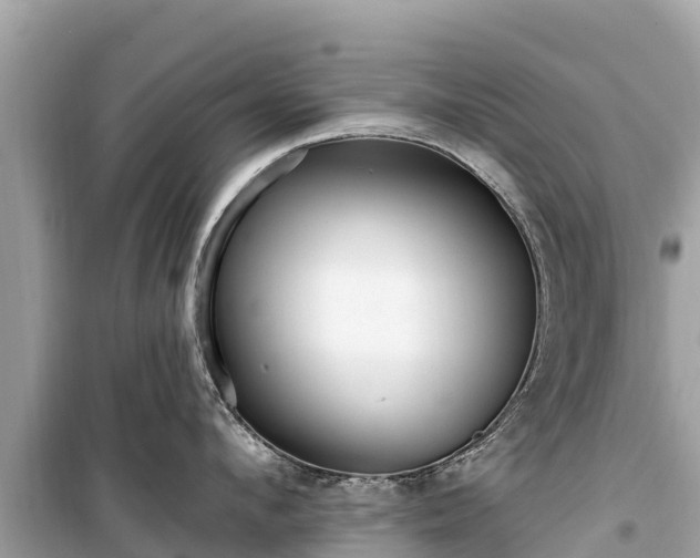 X0000099520912200805221441