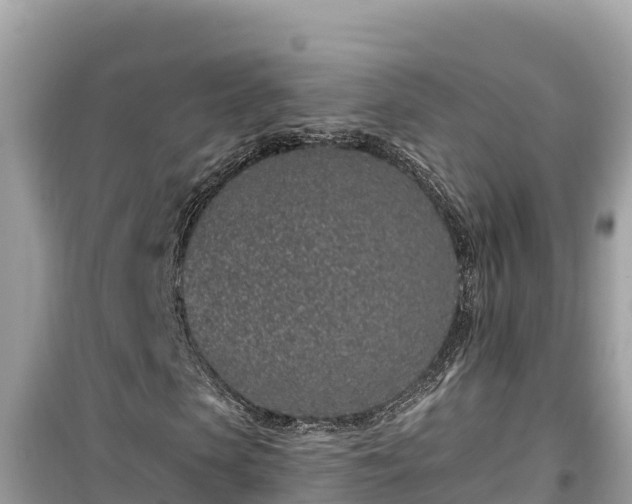X0000099520913200805221440