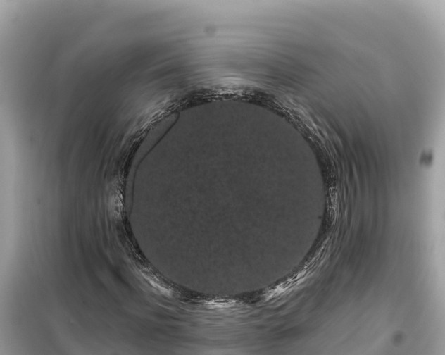 X0000099520916200805221440