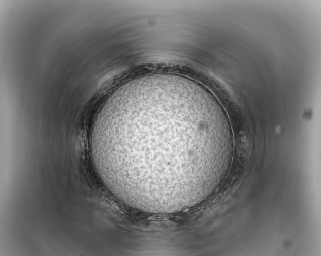X0000099520918200805221440