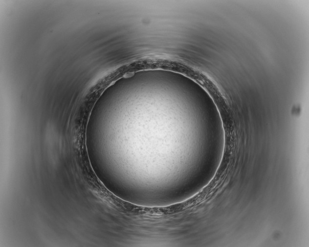 X0000099520919200805221440