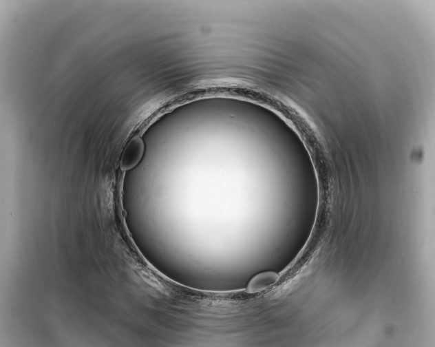 X0000099520921200805221440