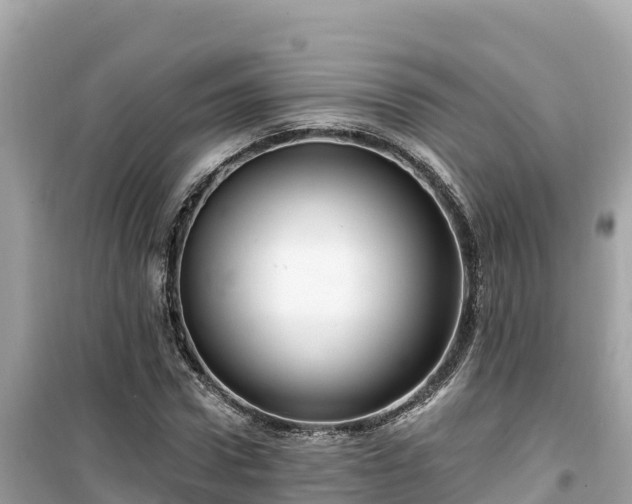 X0000099520922200805221441