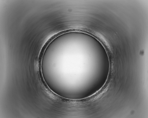 X0000099520924200805221441