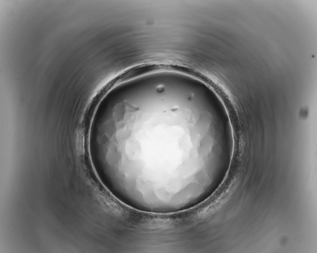X0000099520925200805221441