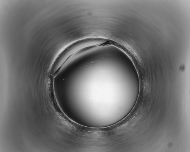 X0000099520926200805221441