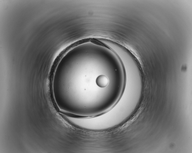 X0000099520928200805221441
