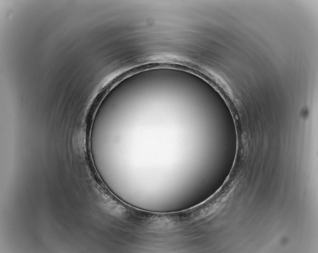 X0000099520931200805221441