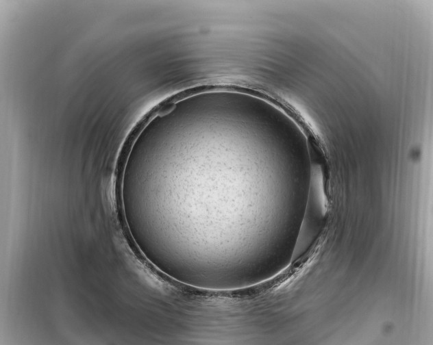 X0000099520932200805221441