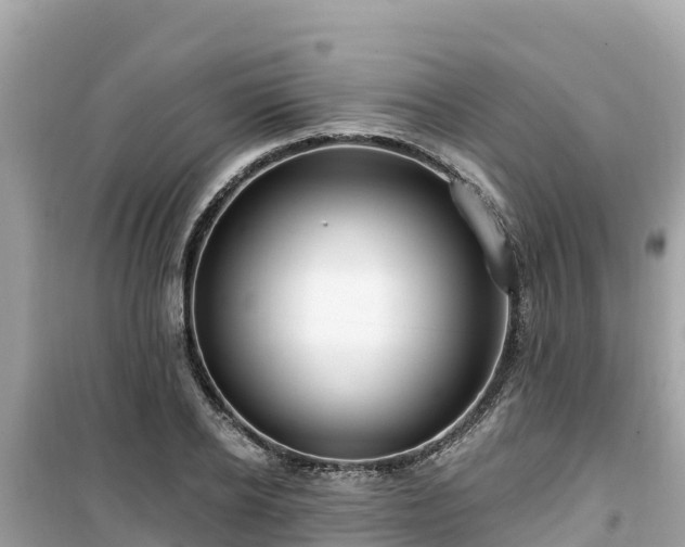 X0000099520934200805221441