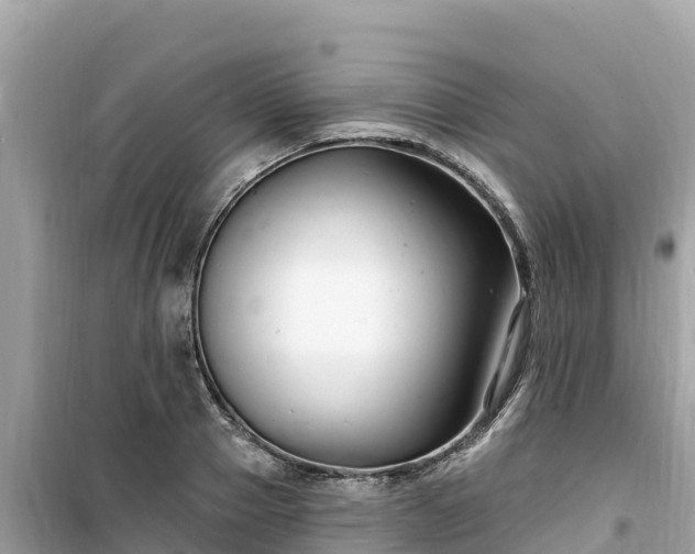 X0000099520937200805221441
