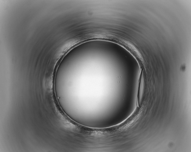 X0000099520938200805221441