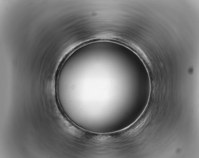 X0000099520939200805221441