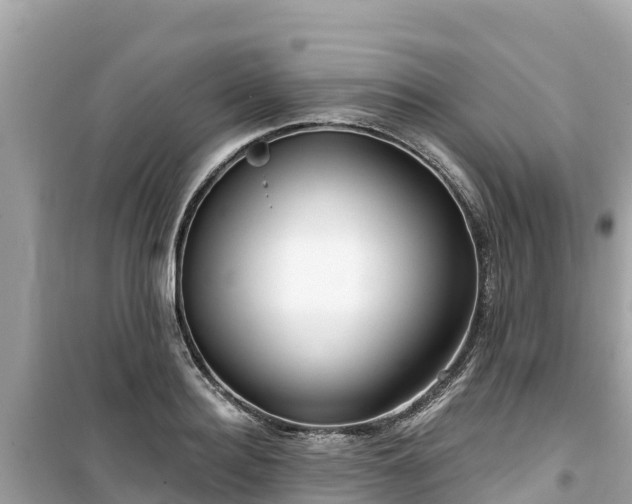 X0000099520940200805221441