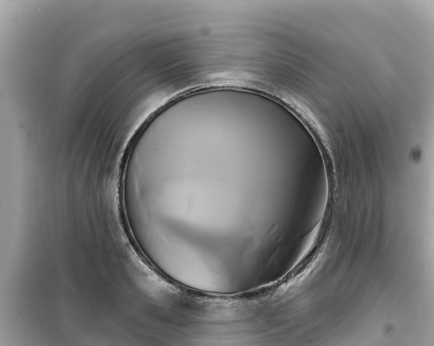 X0000099520941200805221441