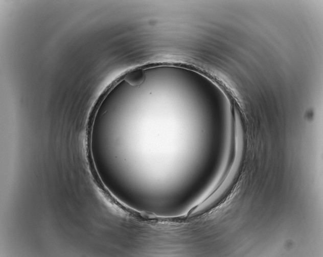 X0000099520942200805221441