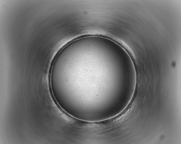 X0000099520943200805221441