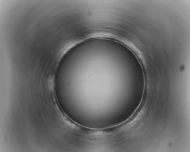 X0000099520945200805221441