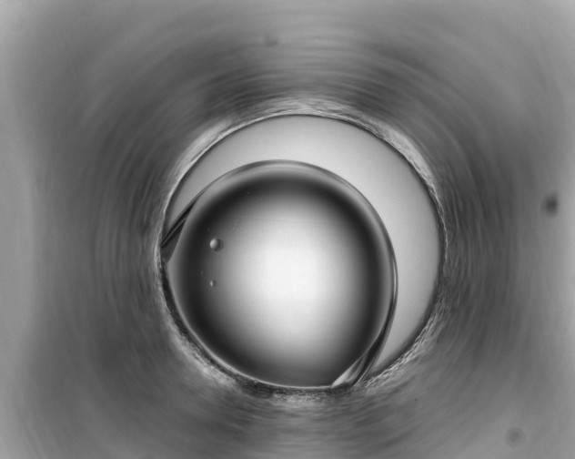 X0000099520946200805221441