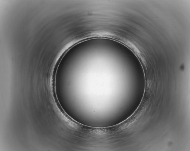 X0000099520947200805221441