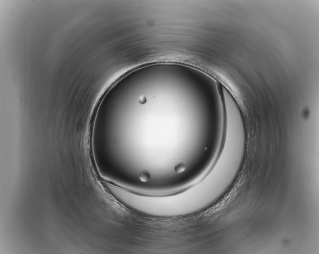 X0000099520948200805221441