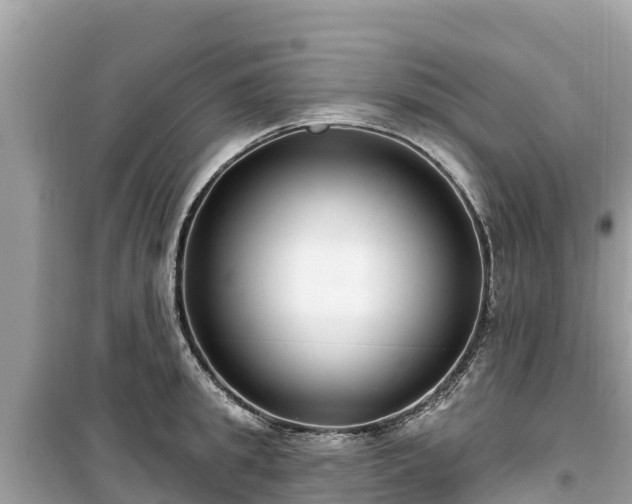 X0000099520949200805221441