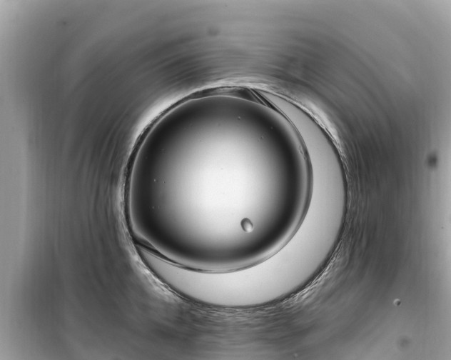 X0000099520952200805221441
