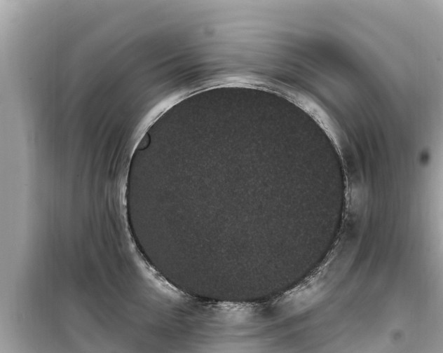 X0000099520954200805221441