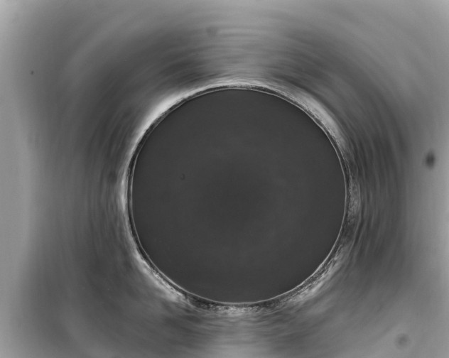 X0000099520958200805221441