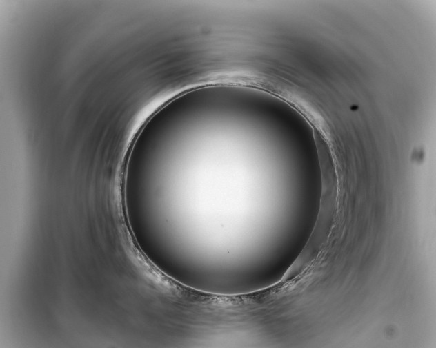 X0000099520960200805221441
