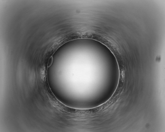 X0000099520963200805221440