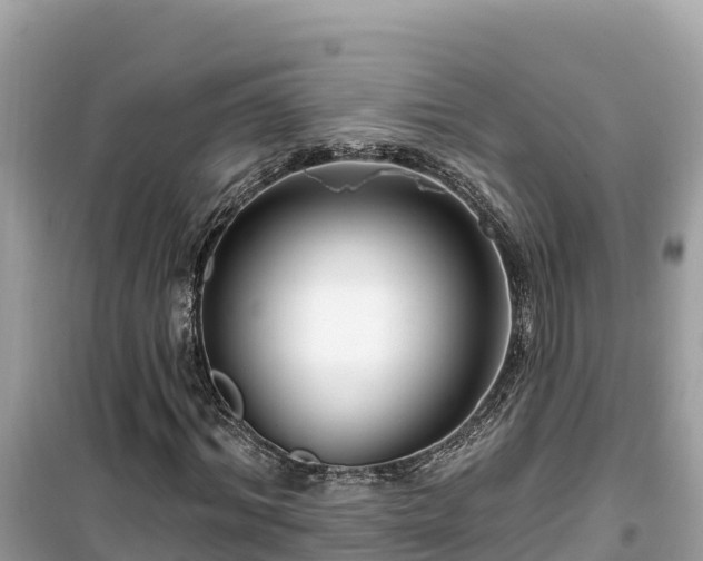 X0000099520964200805221440