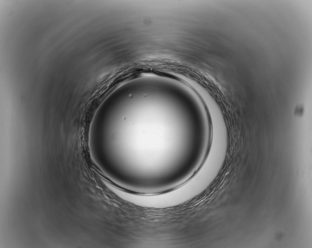 X0000099520965200805221440