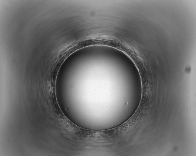 X0000099520966200805221440